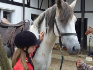 Gebrochenes Pferdebein - Reiki-Kindergeschichte von Michaela Weidner