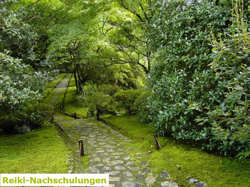 Reiki-Nachschulungen - Energetische Heilpraxis Reiki-Fit