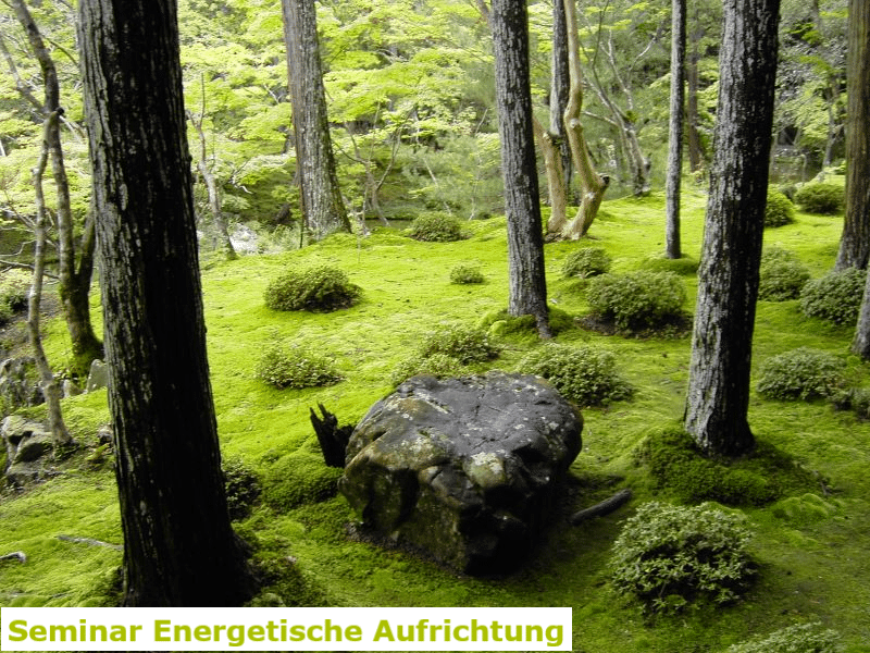 Seminar Energetische Aufrichtung - Energetische Heilpraxis Reiki-Fit